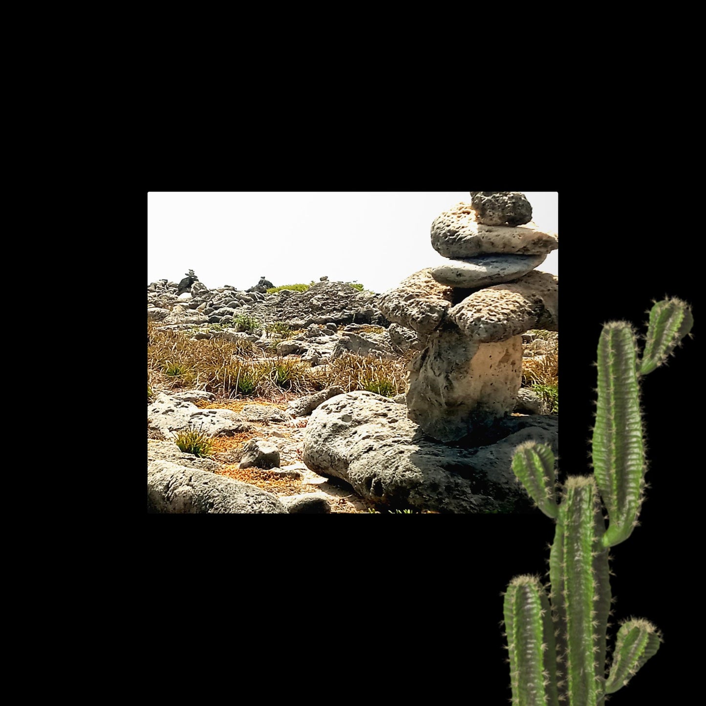 Dry land, landscape photograph, Metal prints