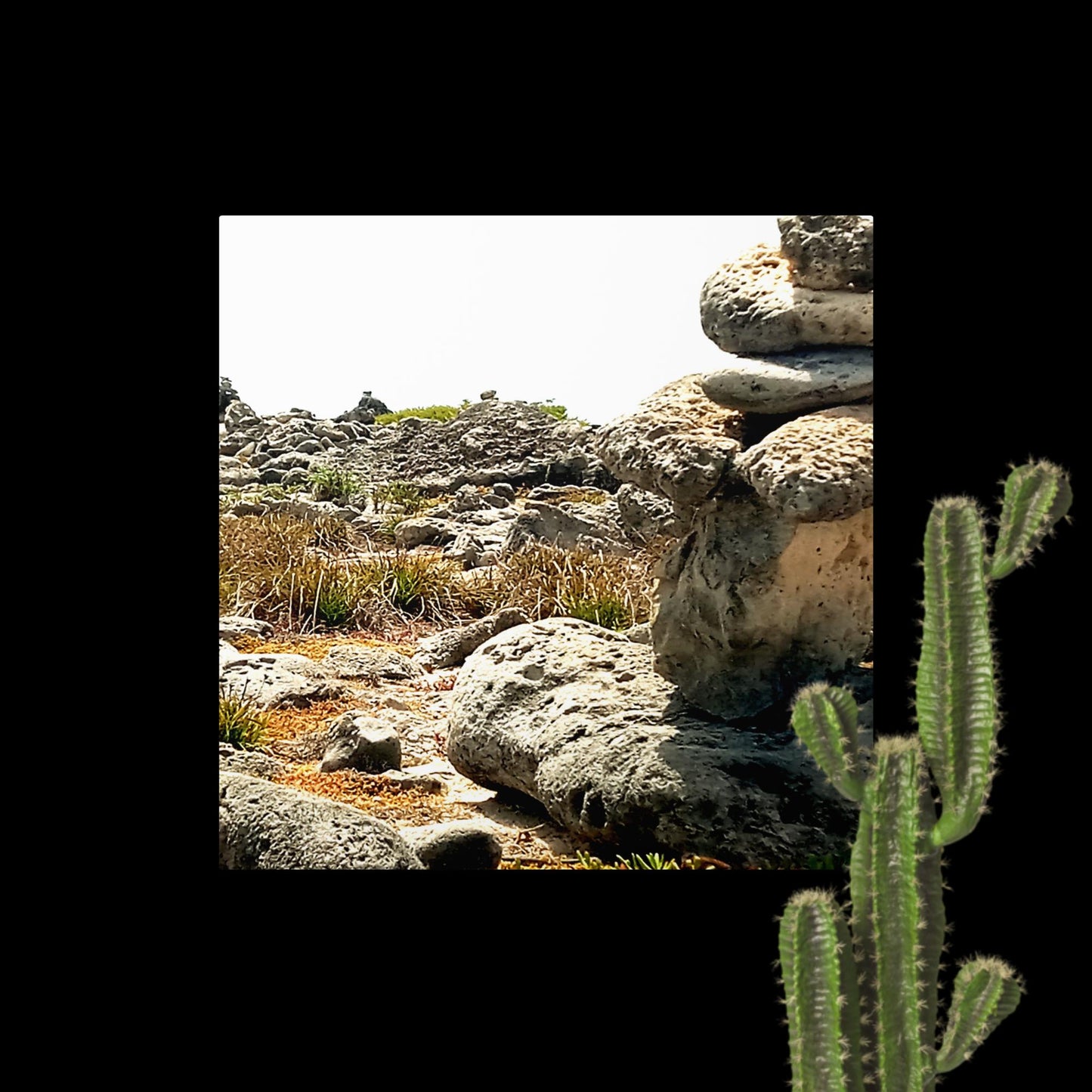 Dry land, landscape photograph, Metal prints