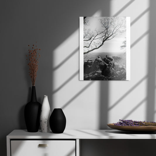 Metal prints