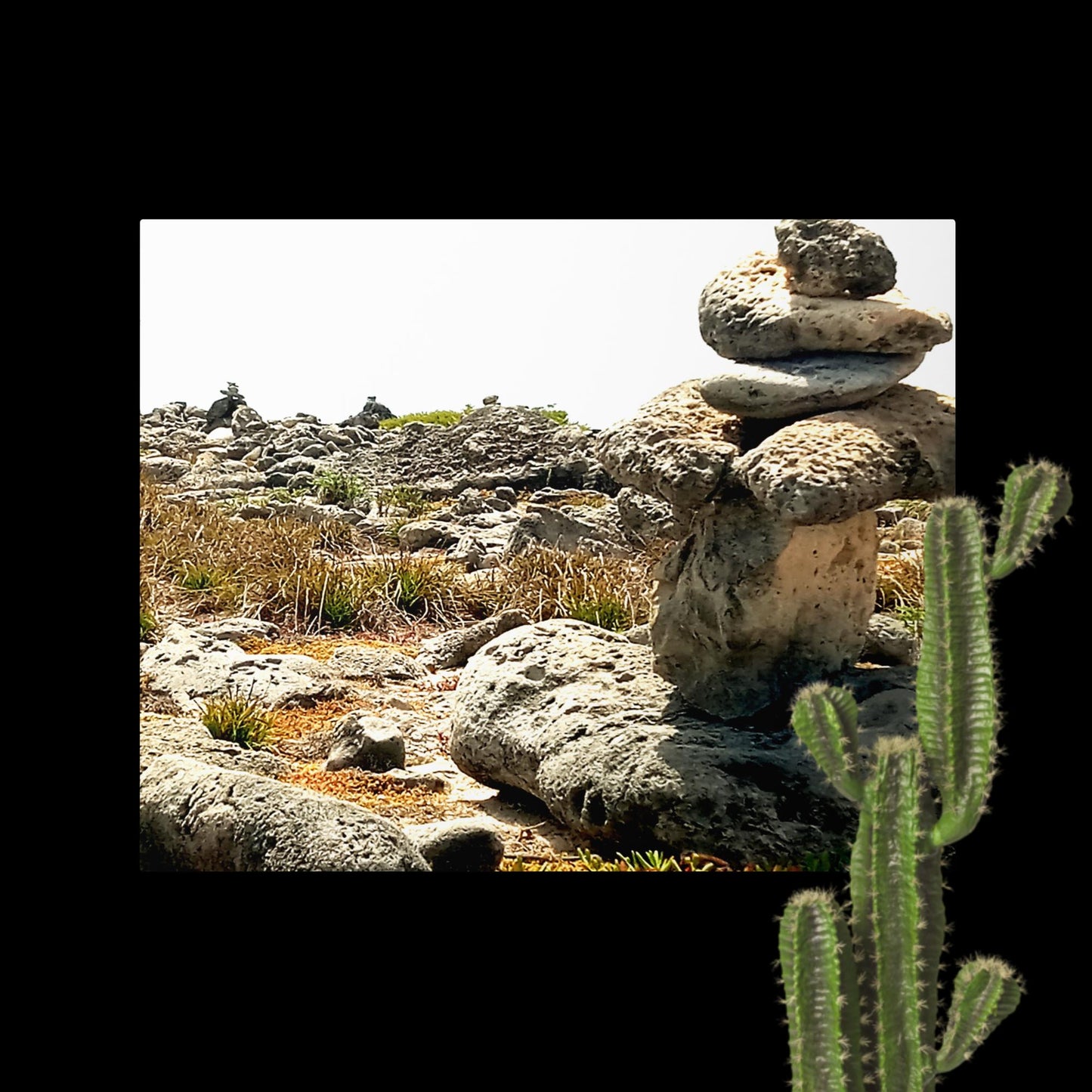 Dry land, landscape photograph, Metal prints