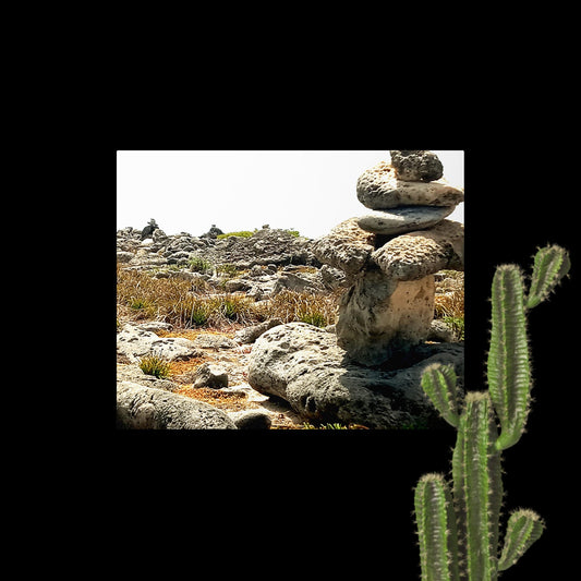 Dry land, landscape photograph, Metal prints