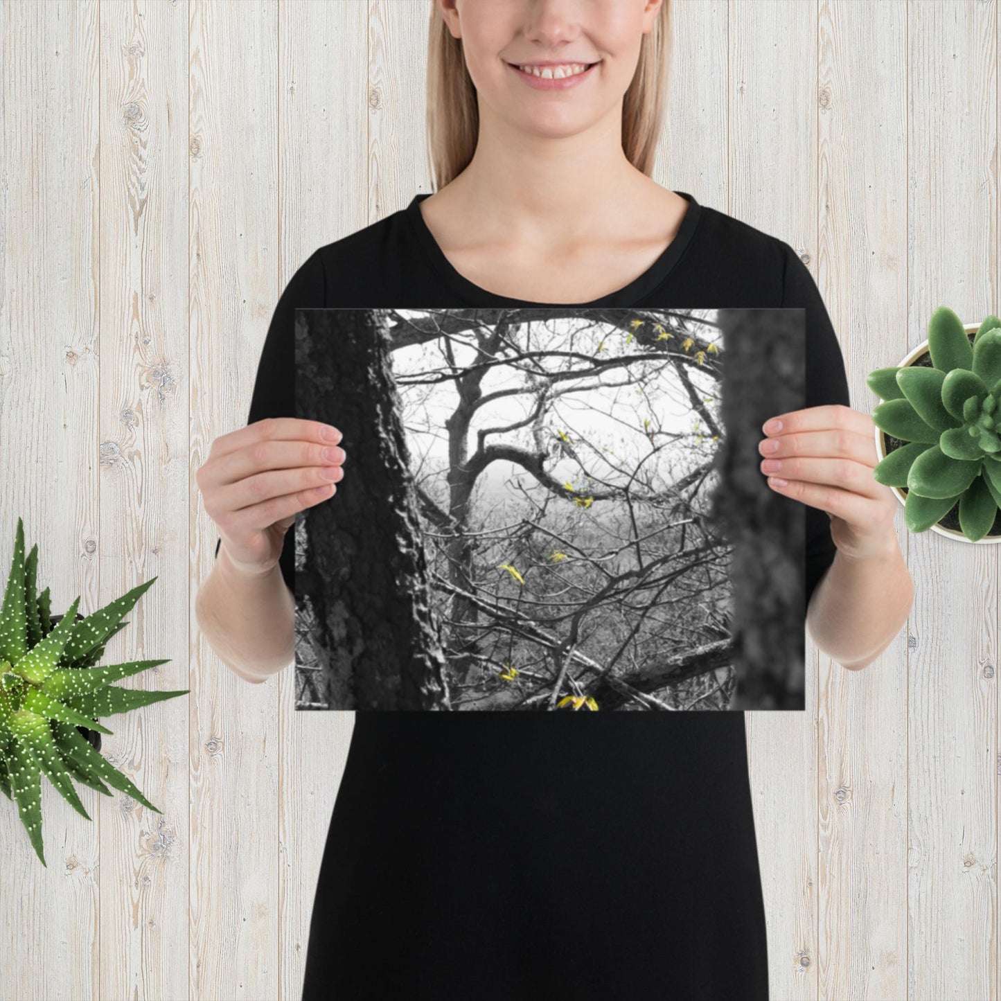 Photo paper poster, Black and White
