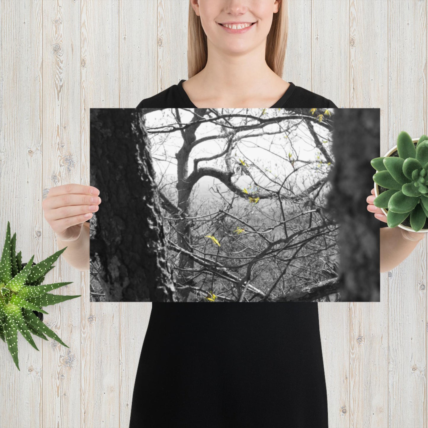 Photo paper poster, Black and White