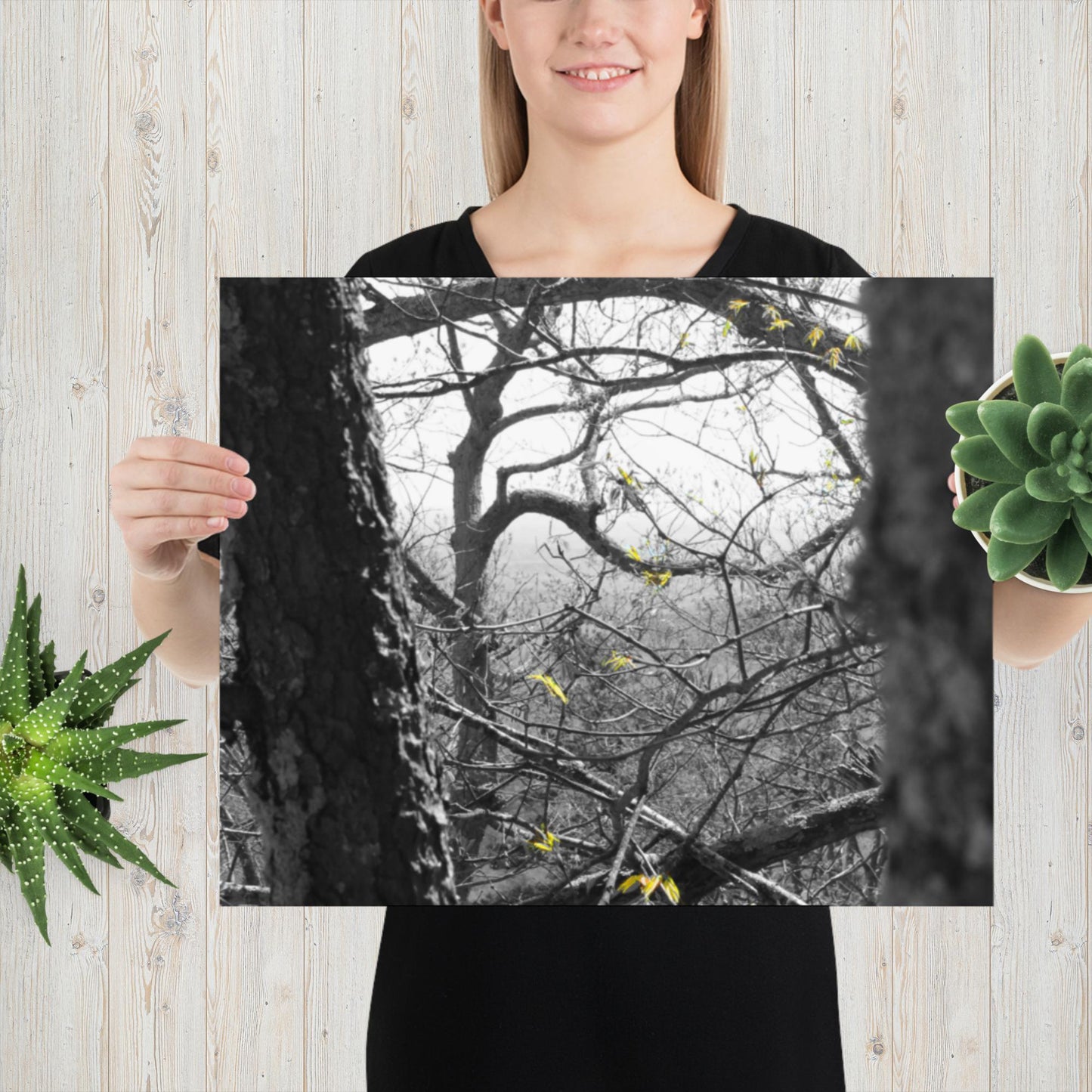 Photo paper poster, Black and White