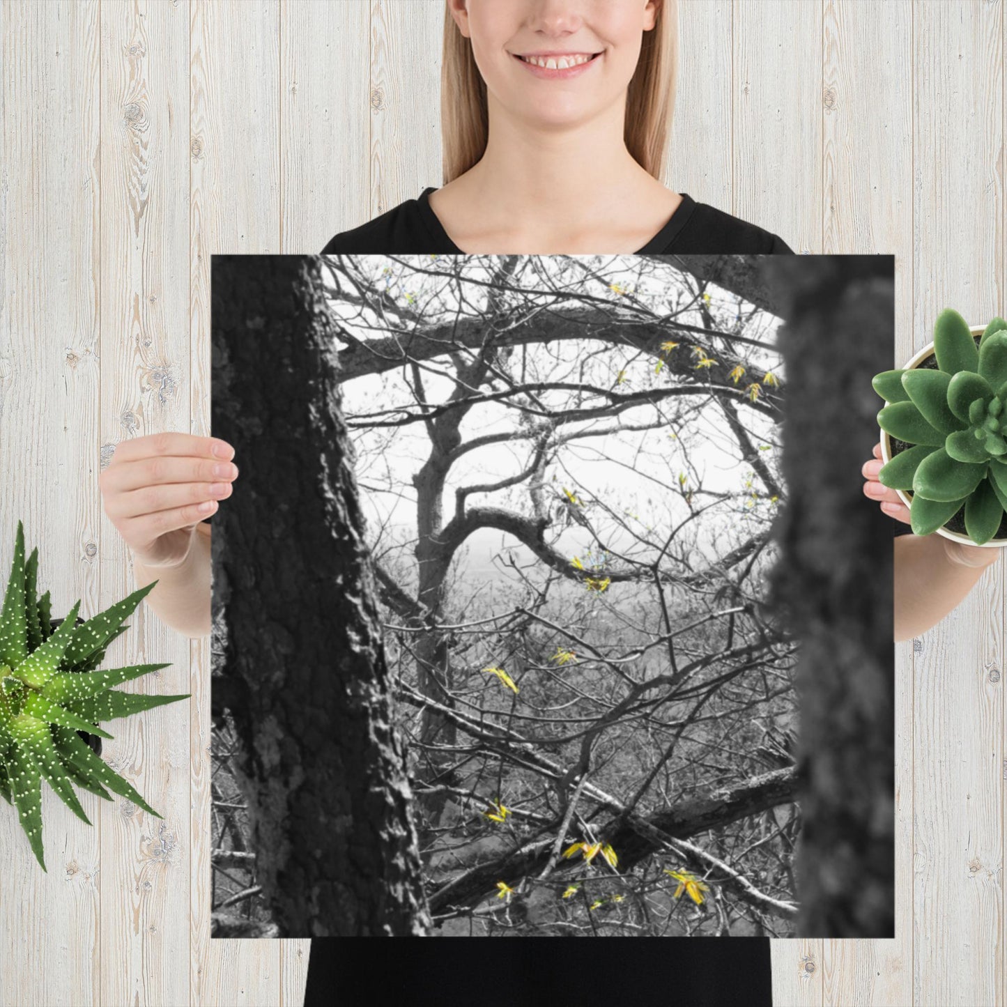 Photo paper poster, Black and White