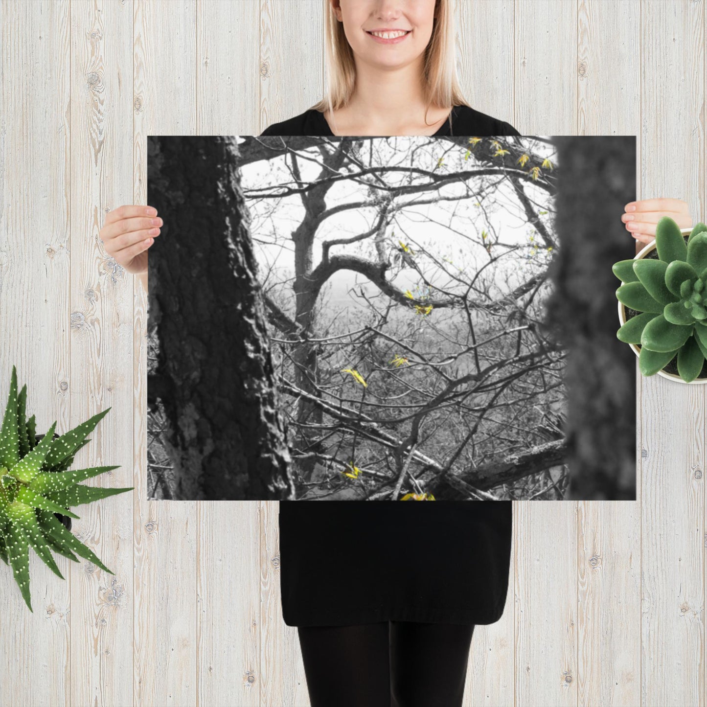 Photo paper poster, Black and White