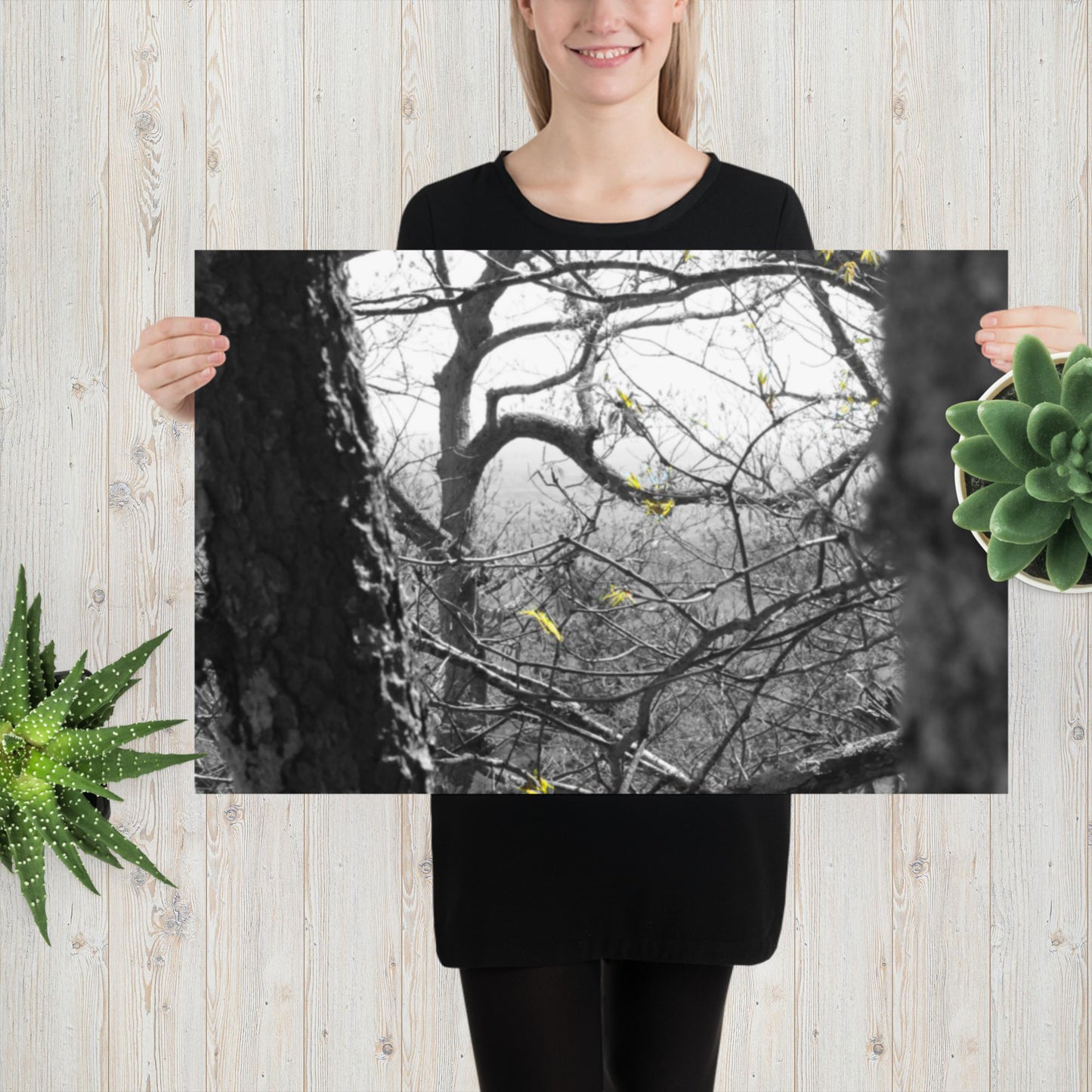 Photo paper poster, Black and White