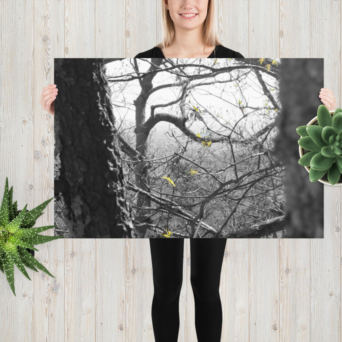 Photo paper poster, Black and White