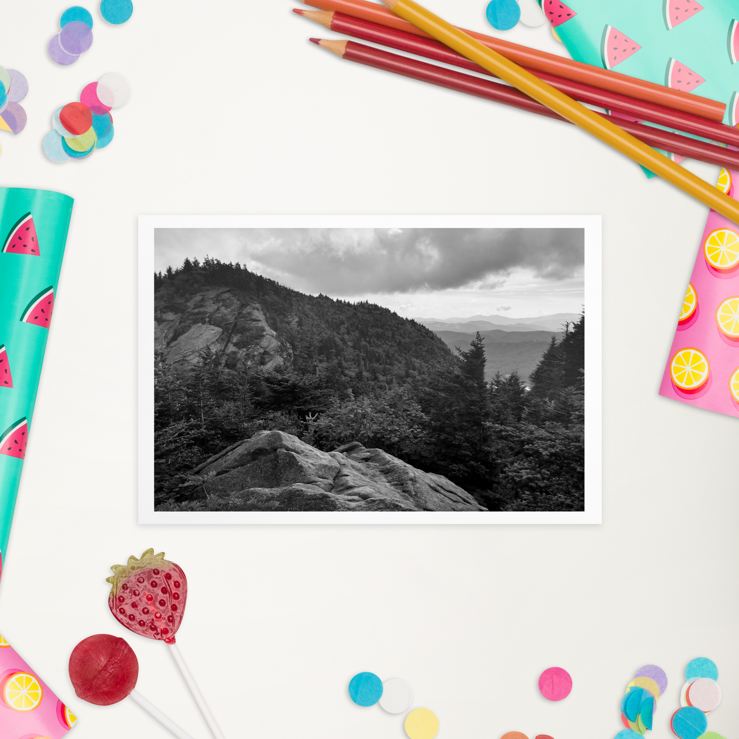 Forest Landscape Photograph on Standard Postcard Mail Black and white cards