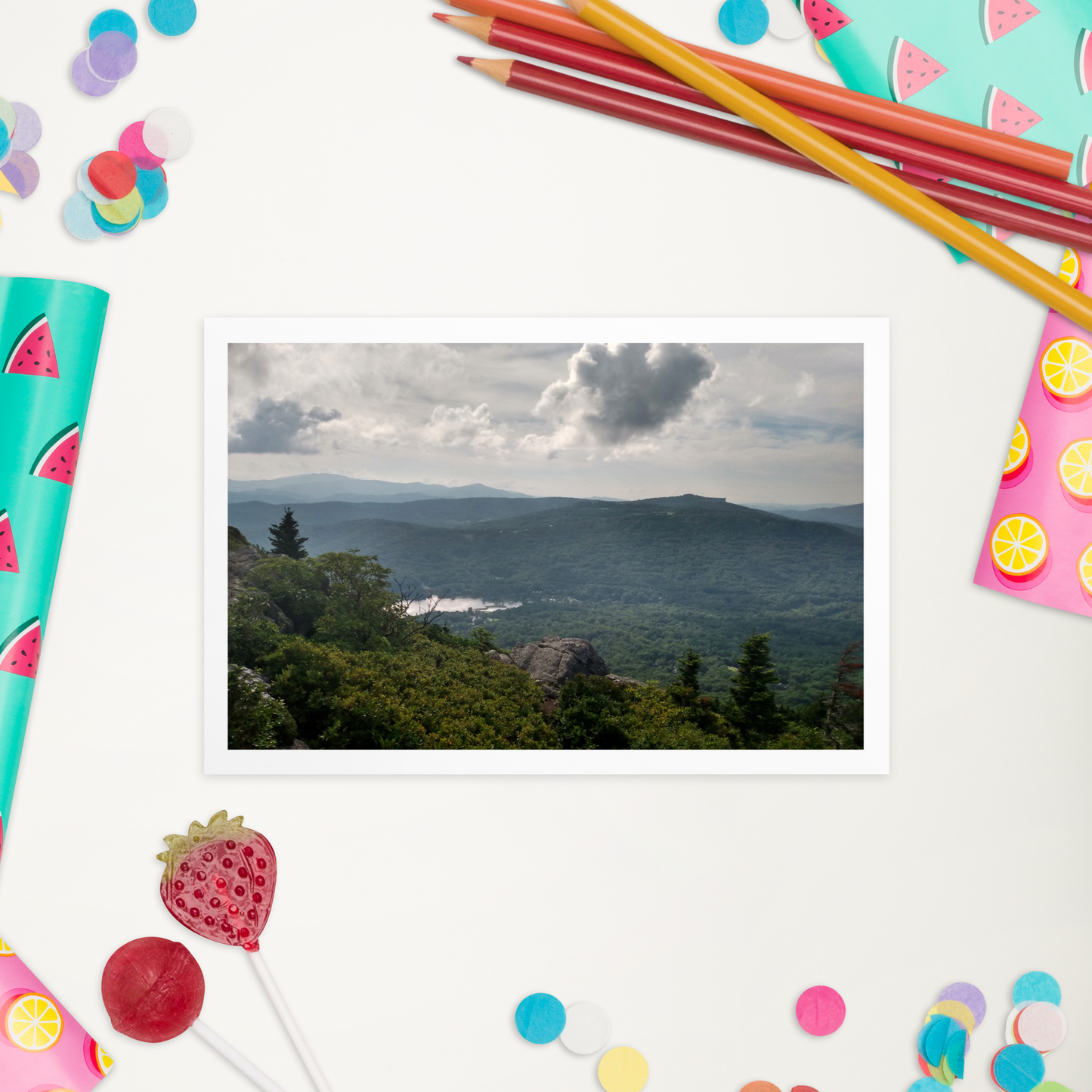 Forest Landscape Photograph on Standard Postcard Mail Custom Nature cards