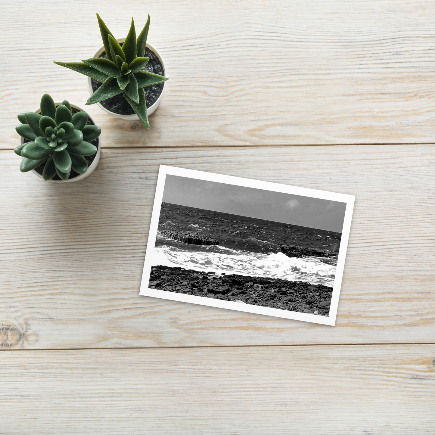 Black and White Standard Postcard Mailing Cards to Send