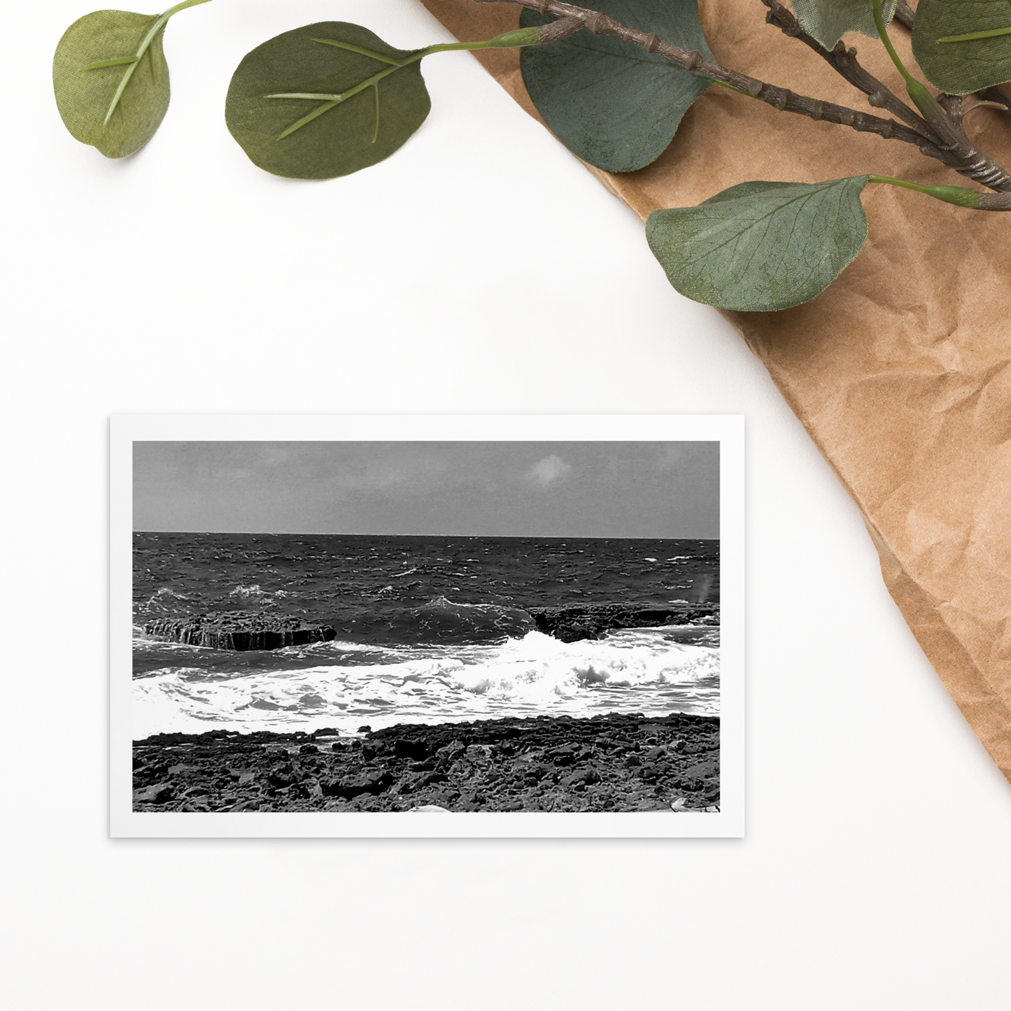 Black and White Standard Postcard Mailing Cards to Send