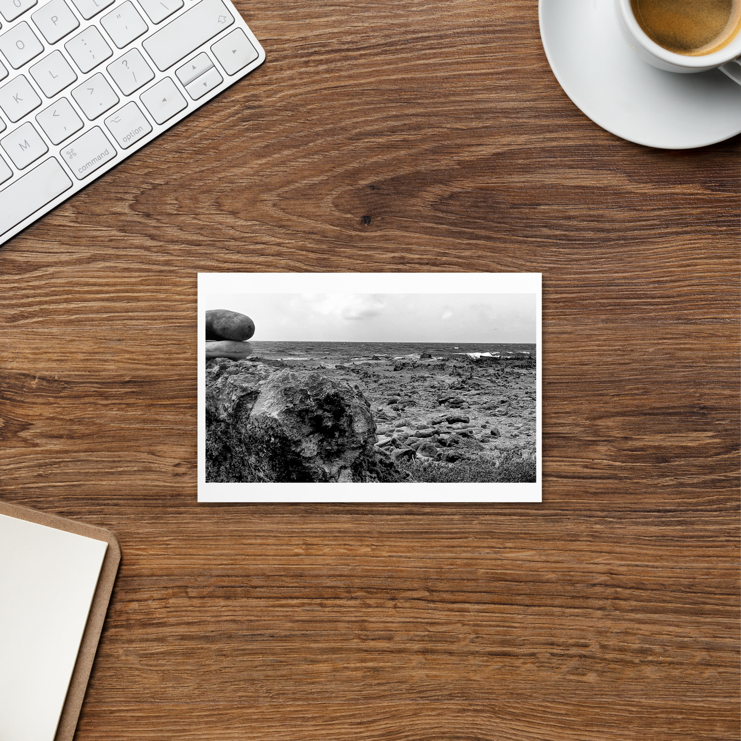 Black and White Photograph Standard Postcard