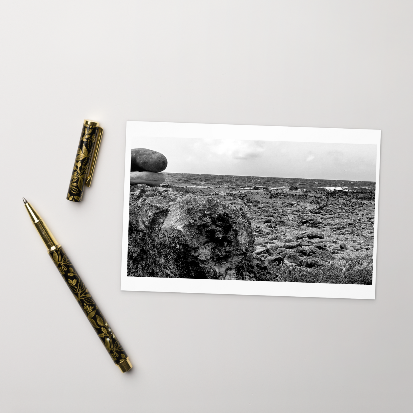 Black and White Photograph Standard Postcard