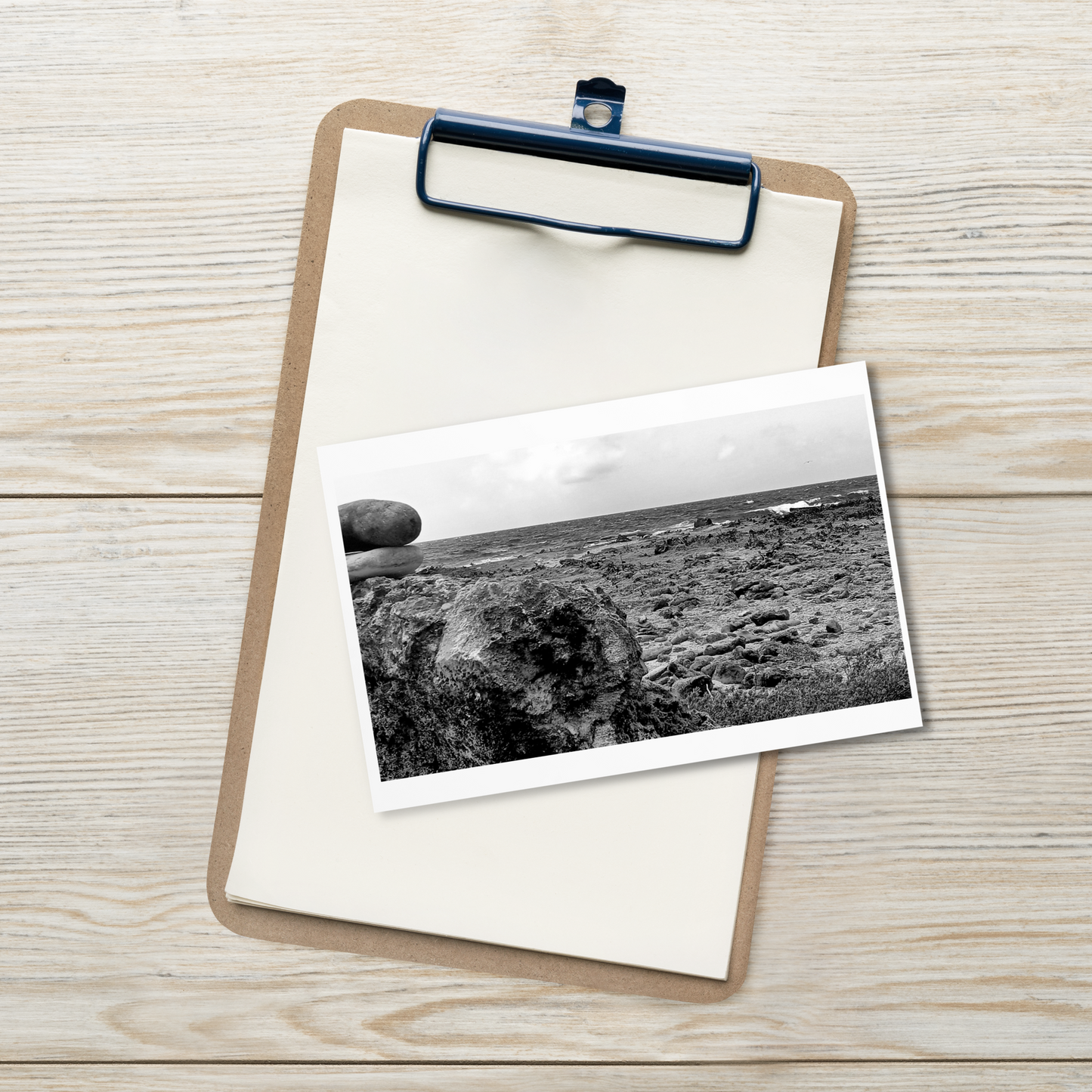 Black and White Photograph Standard Postcard