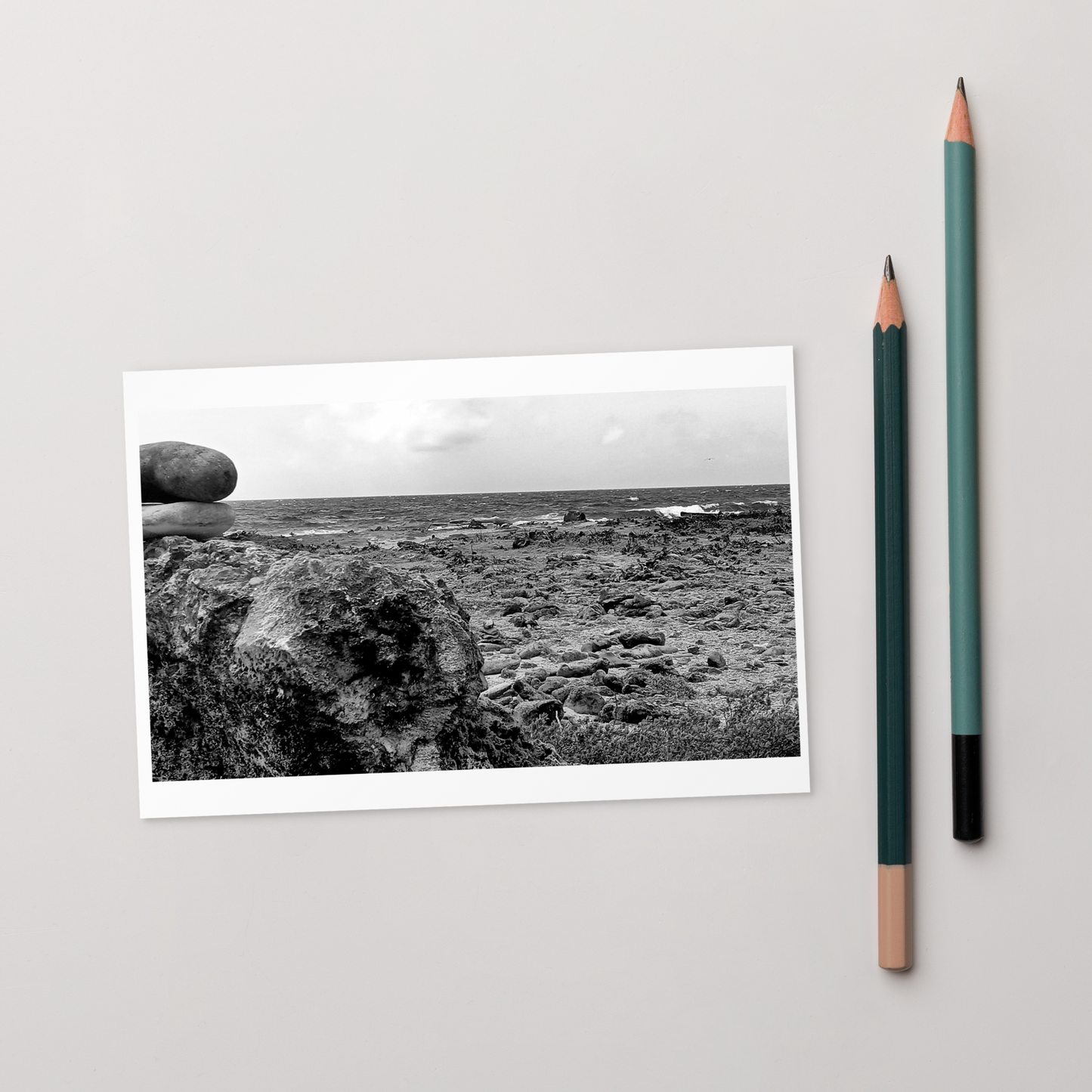 Black and White Photograph Standard Postcard