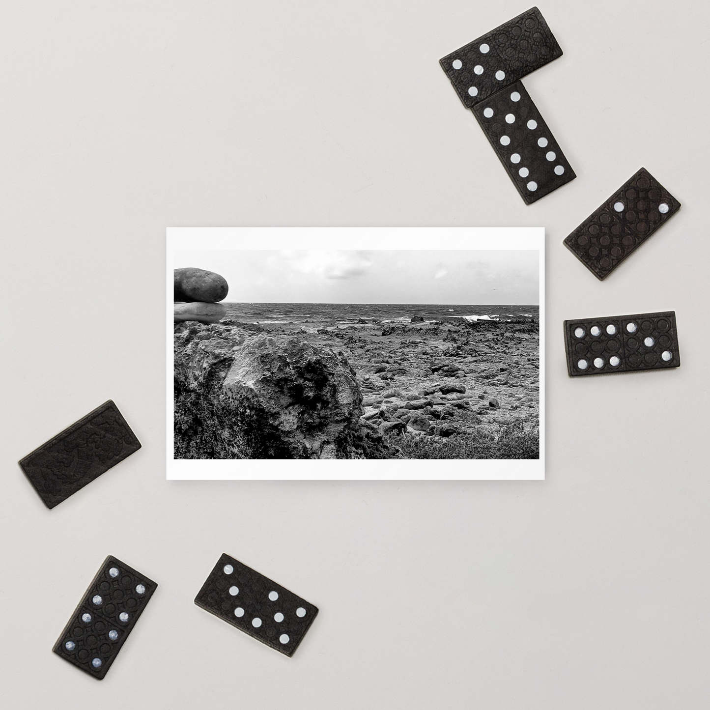 Black and White Photograph Standard Postcard