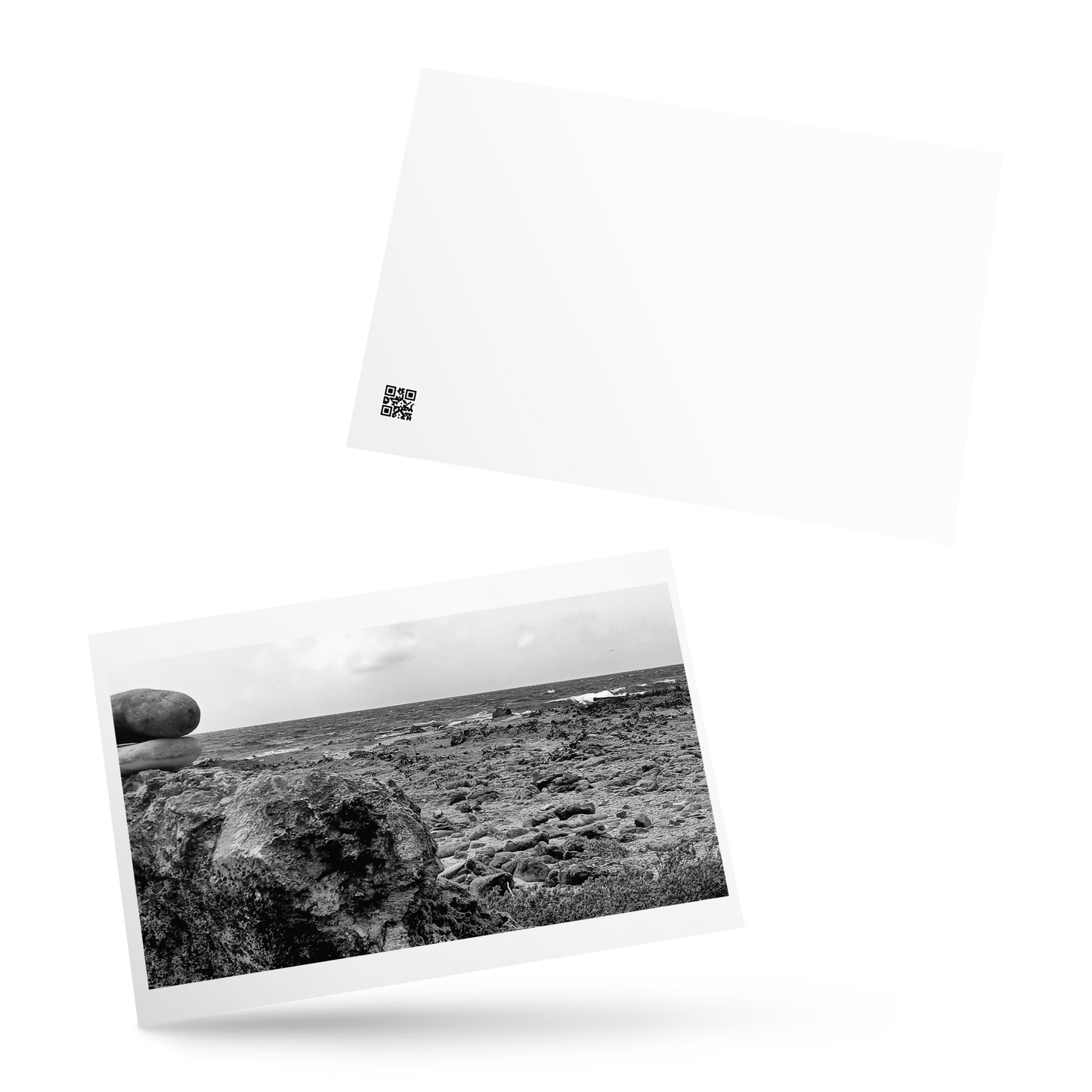 Black and White Photograph Standard Postcard