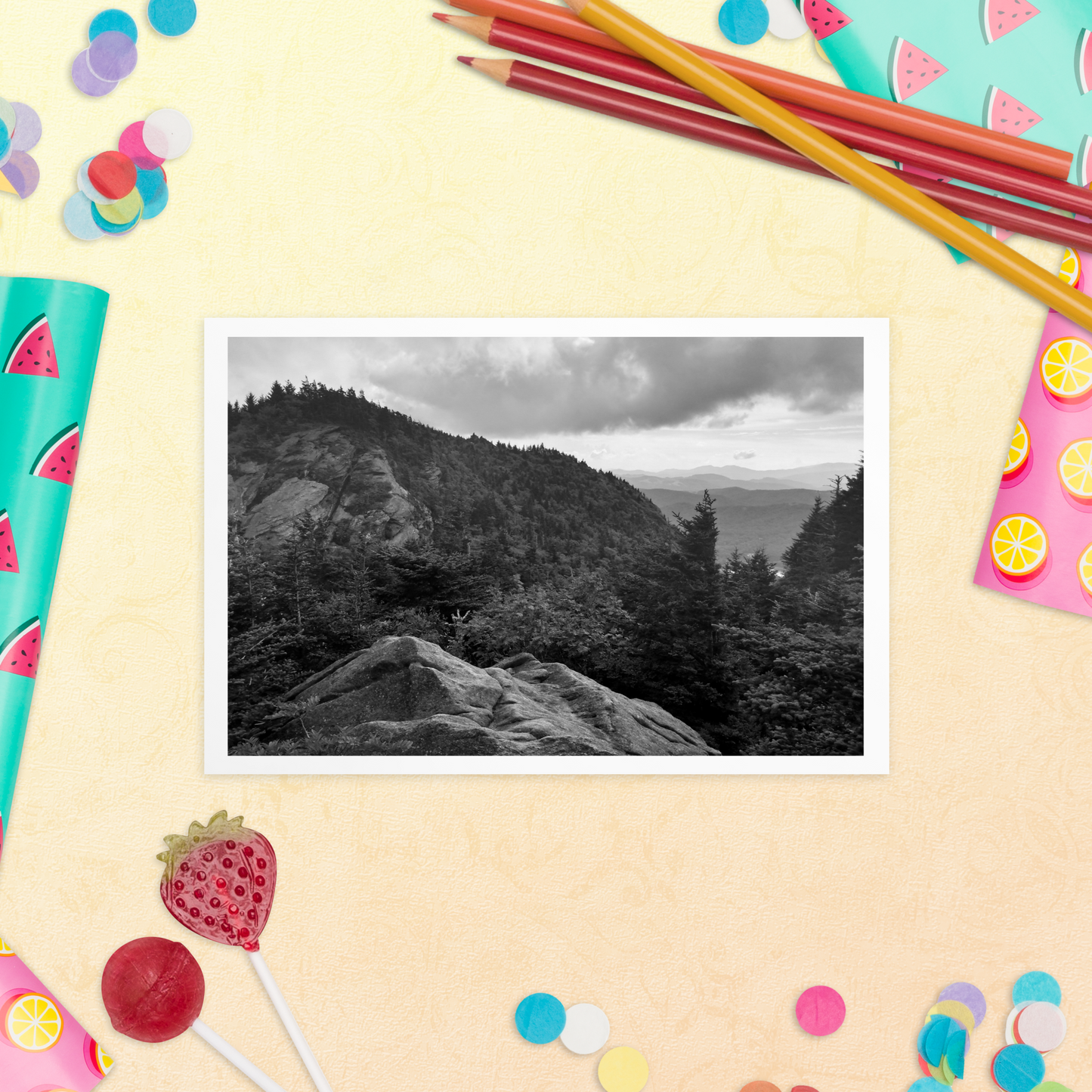 Forest Landscape Photograph on Standard Postcard Mail Black and white cards