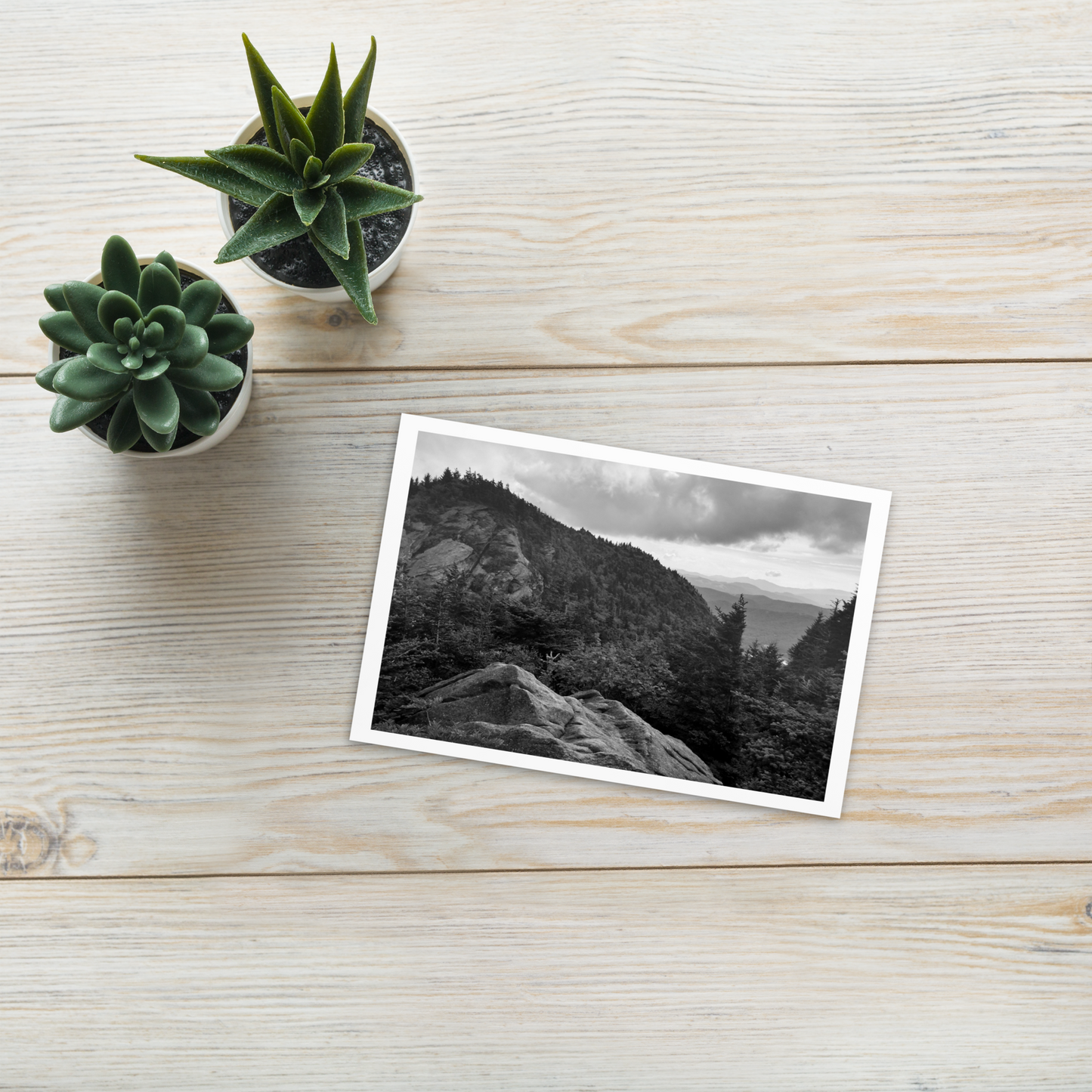Forest Landscape Photograph on Standard Postcard Mail Black and white cards
