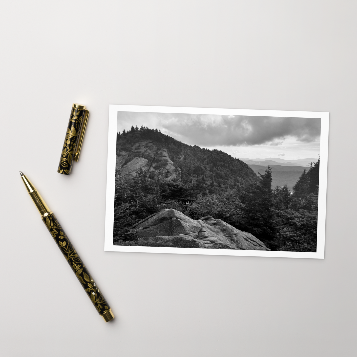 Forest Landscape Photograph on Standard Postcard Mail Black and white cards
