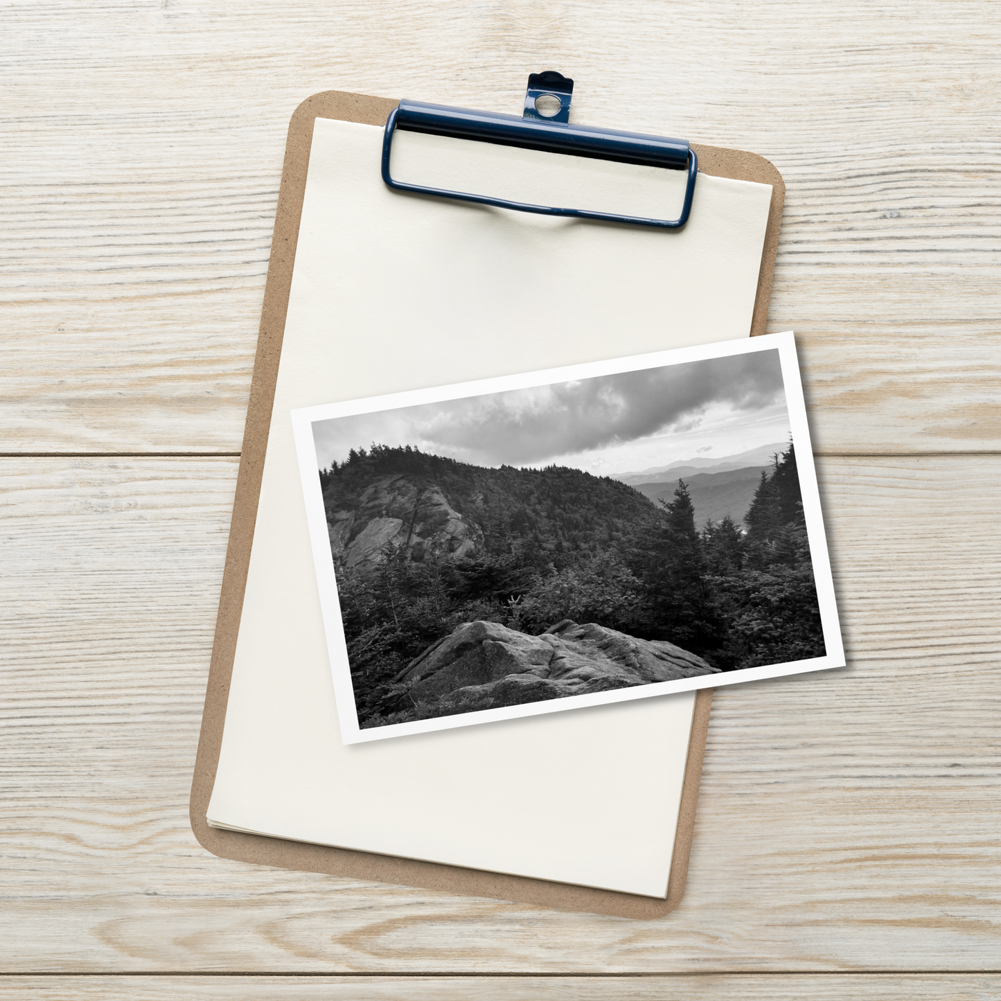 Forest Landscape Photograph on Standard Postcard Mail Black and white cards
