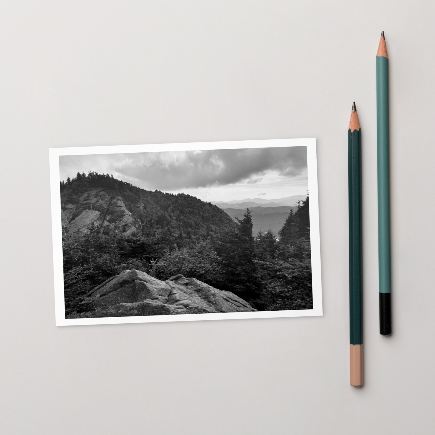 Forest Landscape Photograph on Standard Postcard Mail Black and white cards