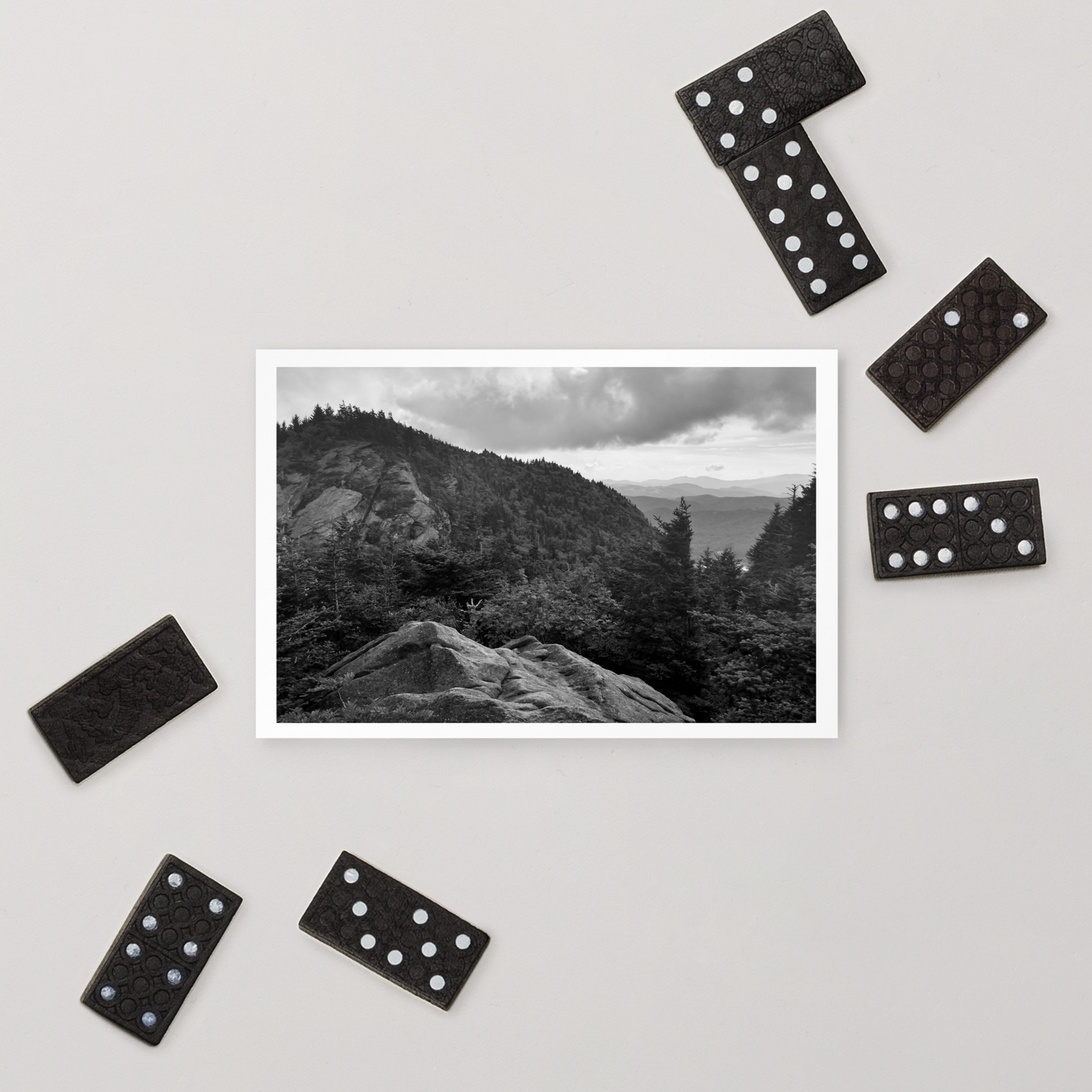 Forest Landscape Photograph on Standard Postcard Mail Black and white cards