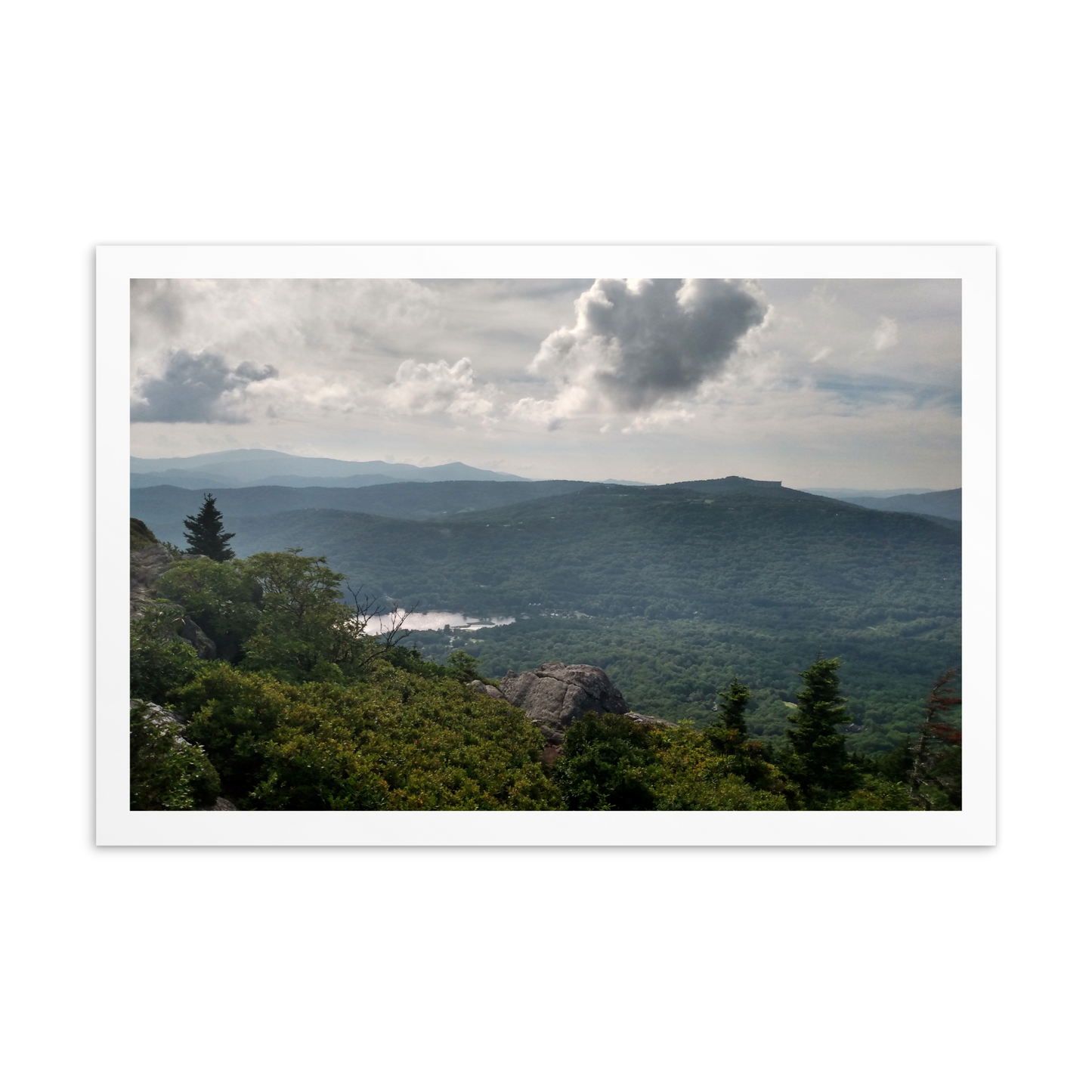 Forest Landscape Photograph on Standard Postcard Mail Custom Nature cards
