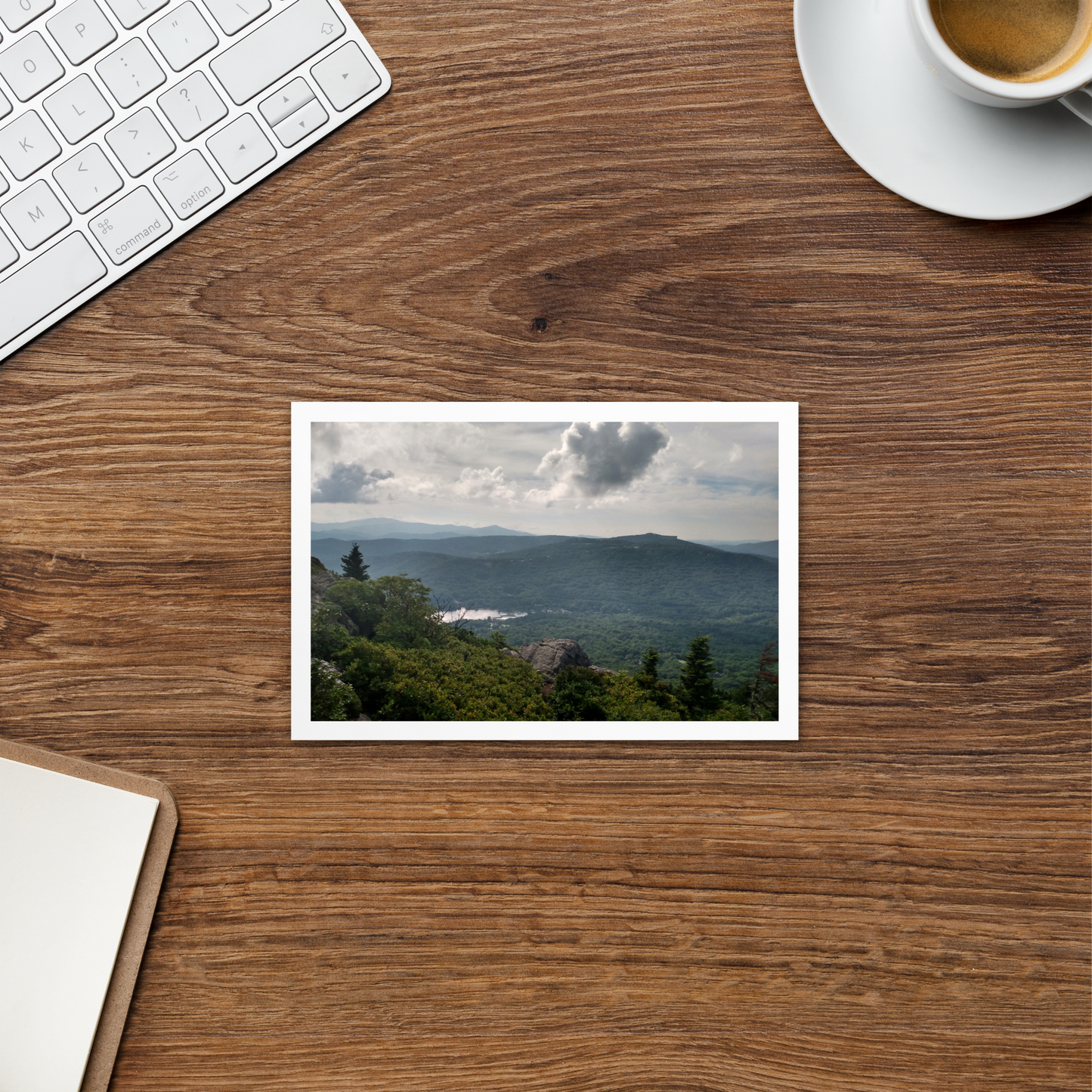 Forest Landscape Photograph on Standard Postcard Mail Custom Nature cards