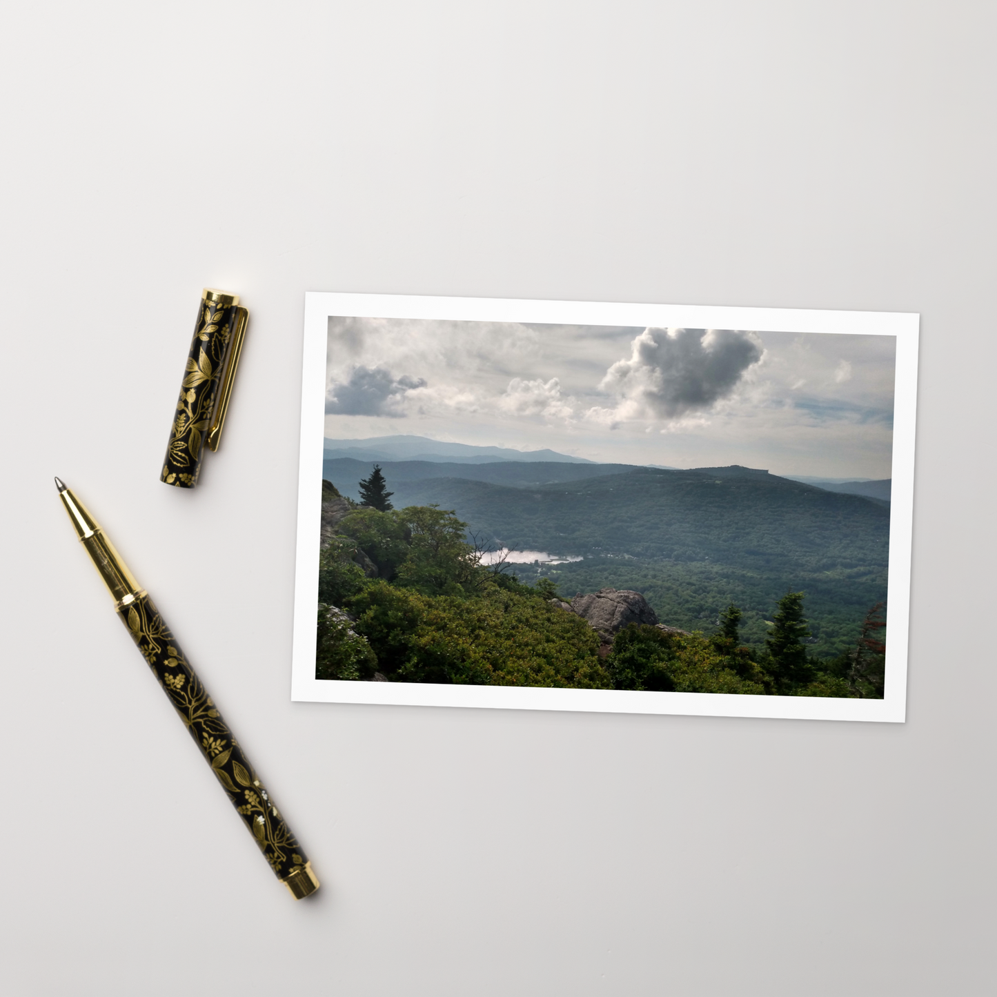 Forest Landscape Photograph on Standard Postcard Mail Custom Nature cards