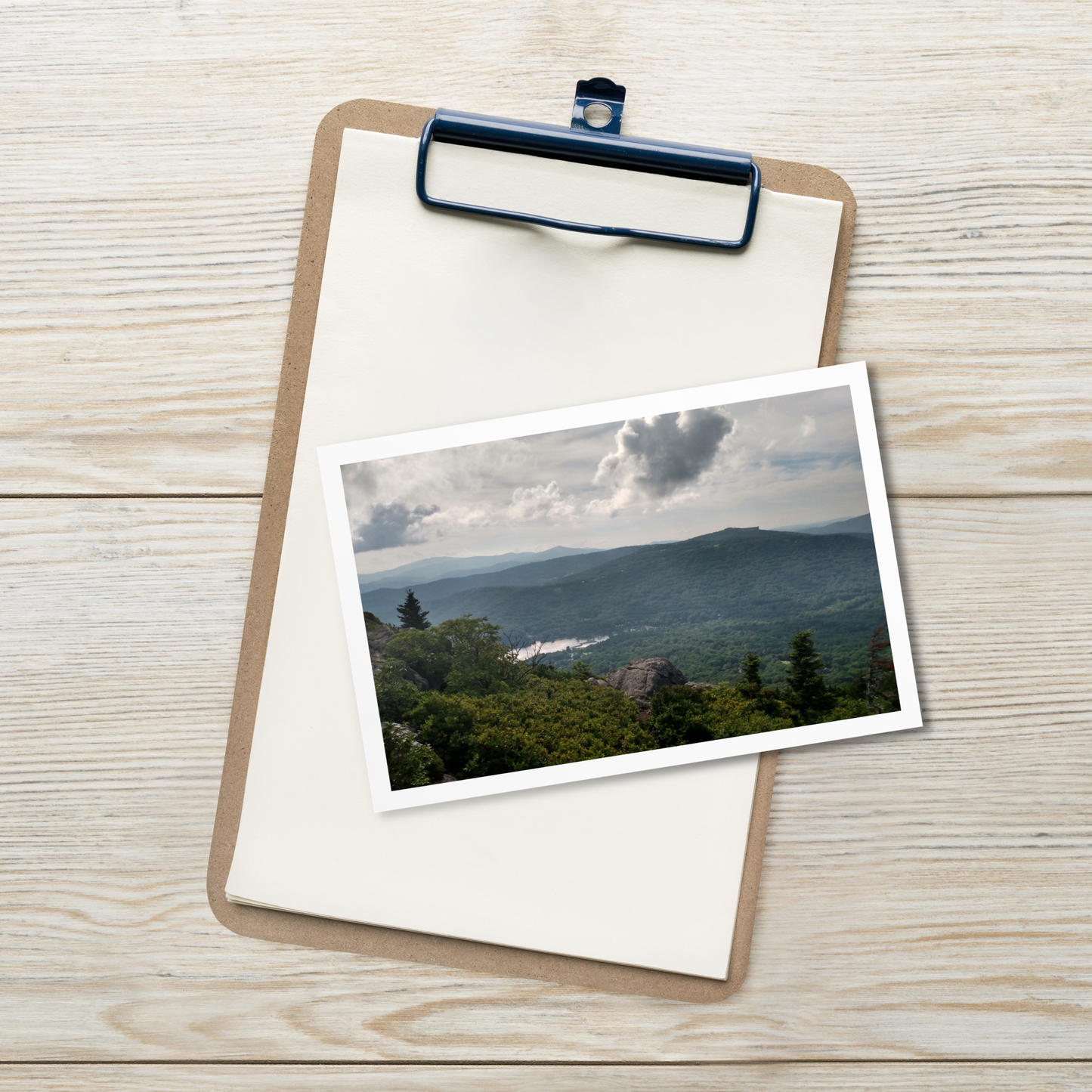 Forest Landscape Photograph on Standard Postcard Mail Custom Nature cards