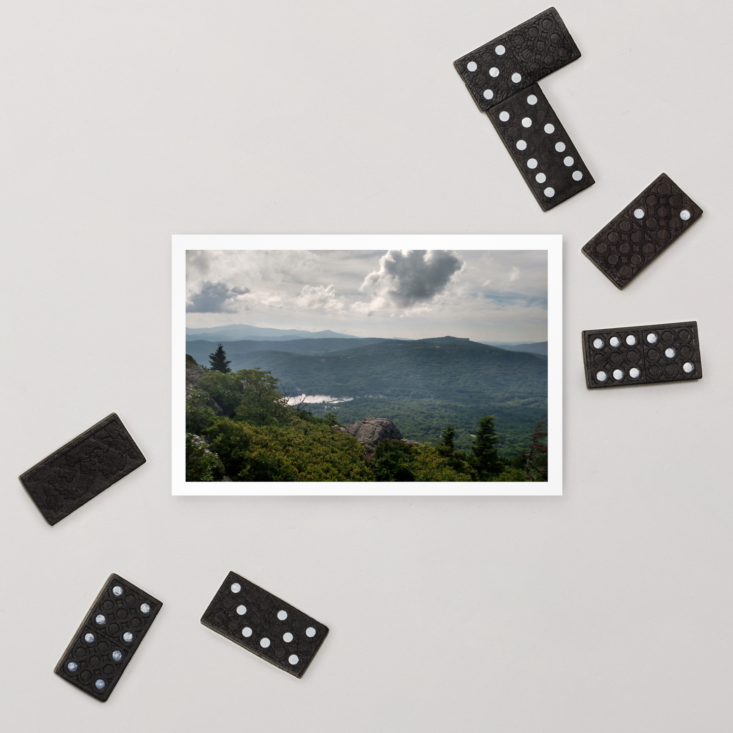 Forest Landscape Photograph on Standard Postcard Mail Custom Nature cards