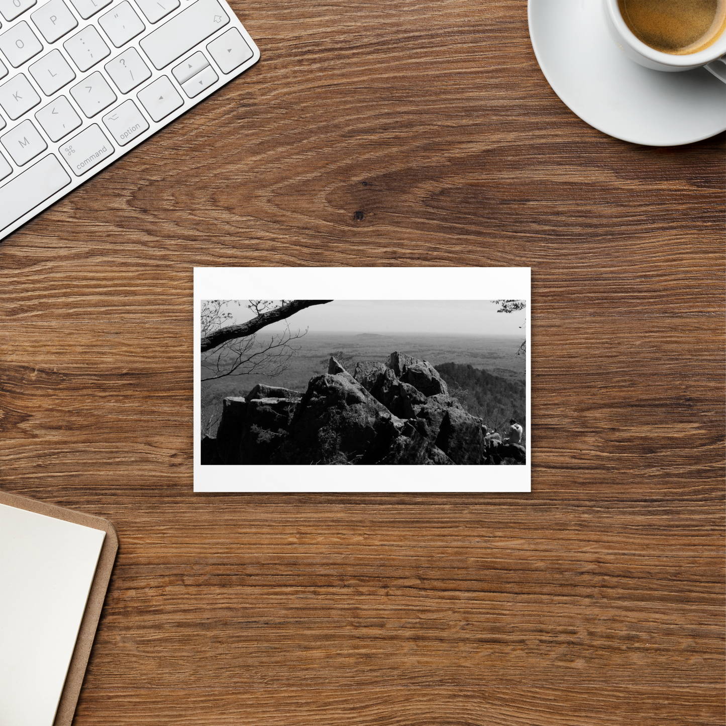 Forest Landscape Photograph on Standard Postcard Mail Black and white Nature cards
