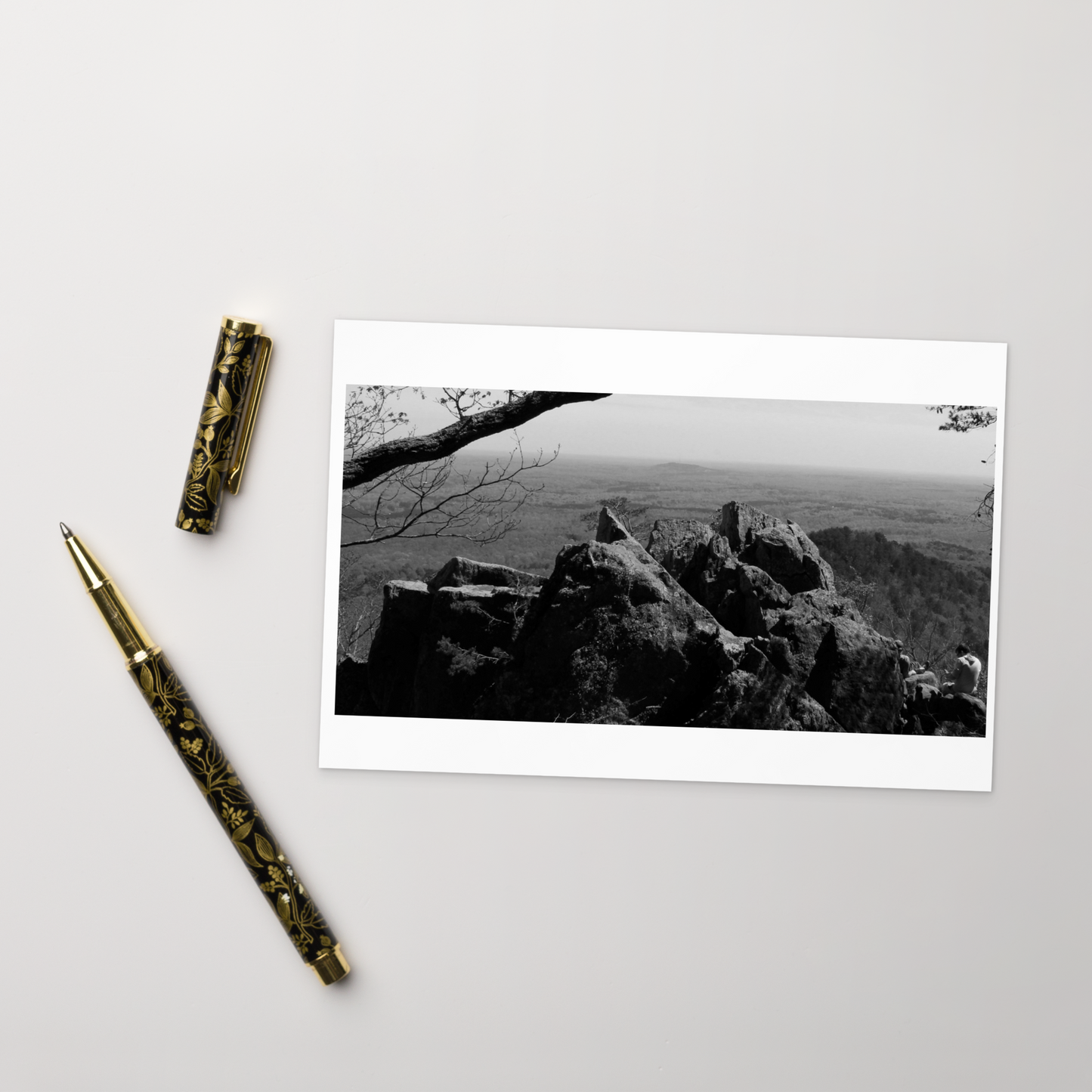 Forest Landscape Photograph on Standard Postcard Mail Black and white Nature cards