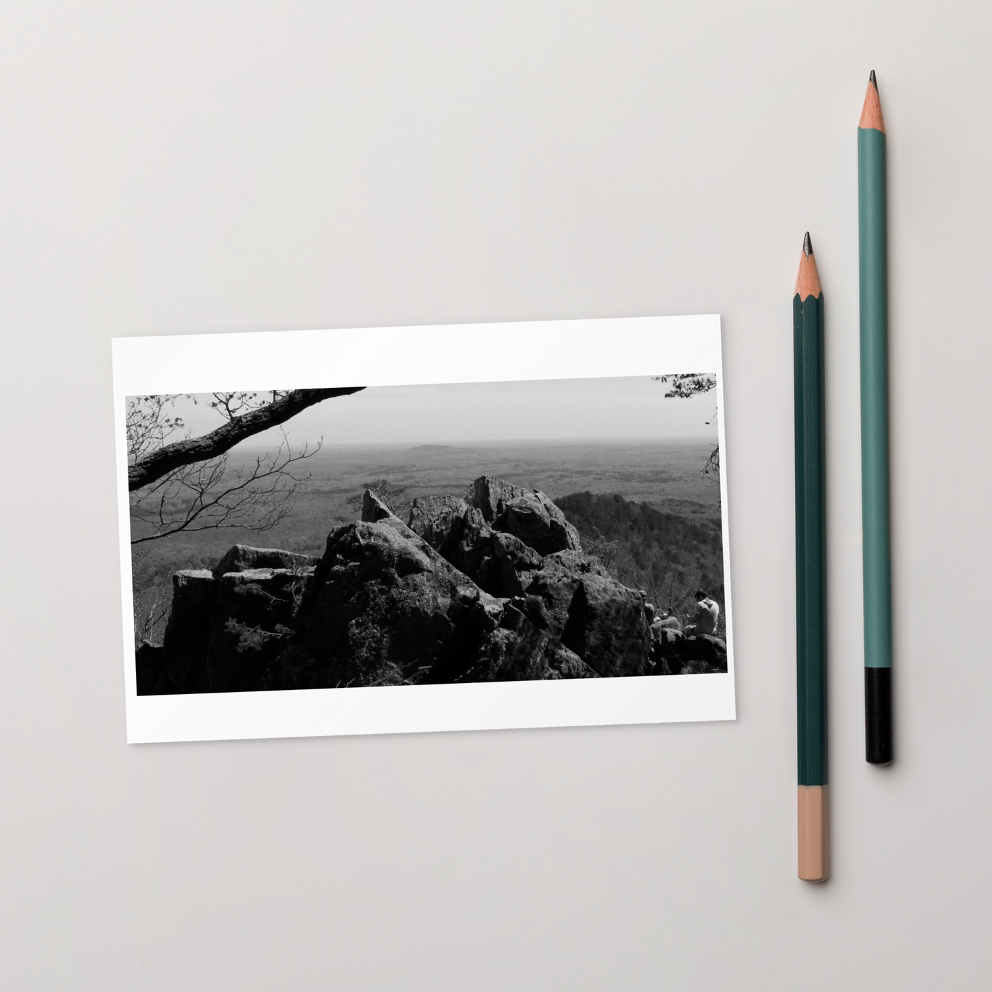 Forest Landscape Photograph on Standard Postcard Mail Black and white Nature cards